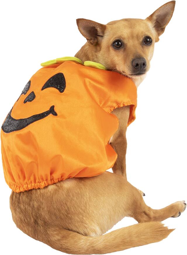 XS/S ORNG PMPKN GLTT