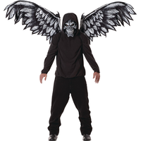 Fallen Angel Mask & Wings Front_Flat