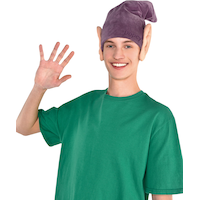 Dopey Halloween Costume Accessory Kit Front_Flat