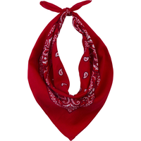 Western Cowboy Bandana, Red, One Size, Wearable Costume Accessory for Halloween Front_Flat