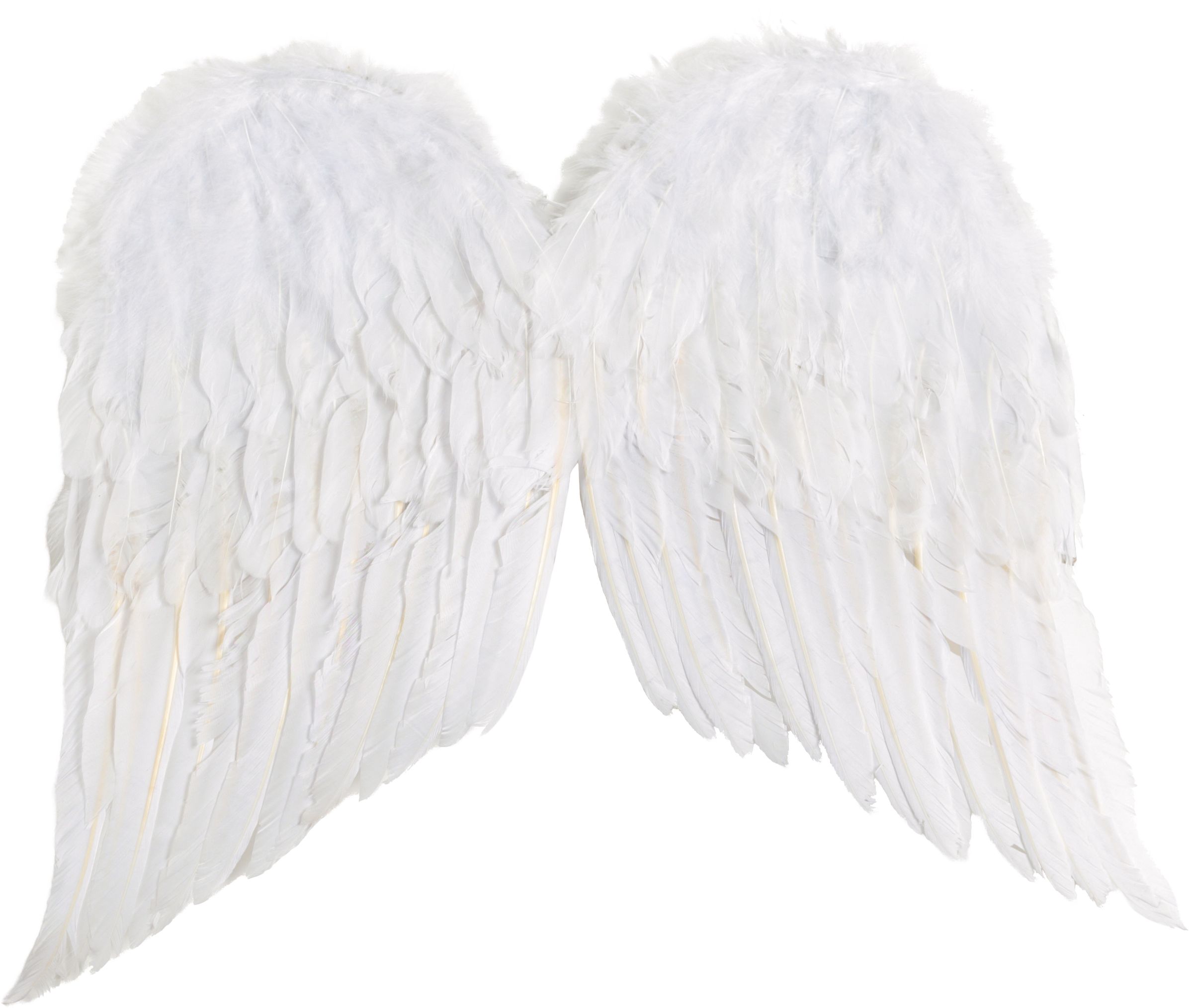 Classic Angel Feather Wings, White, One Size, Wearable Costume Accessory  for Halloween