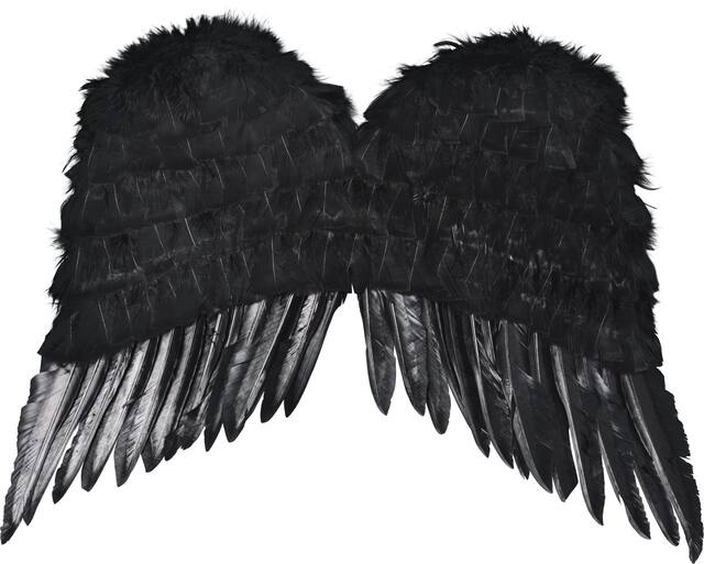 Dark Fallen Angel Feather Wings Downturned, Black, One Size, Wearable Costume Accessory for Halloween Back_Flat