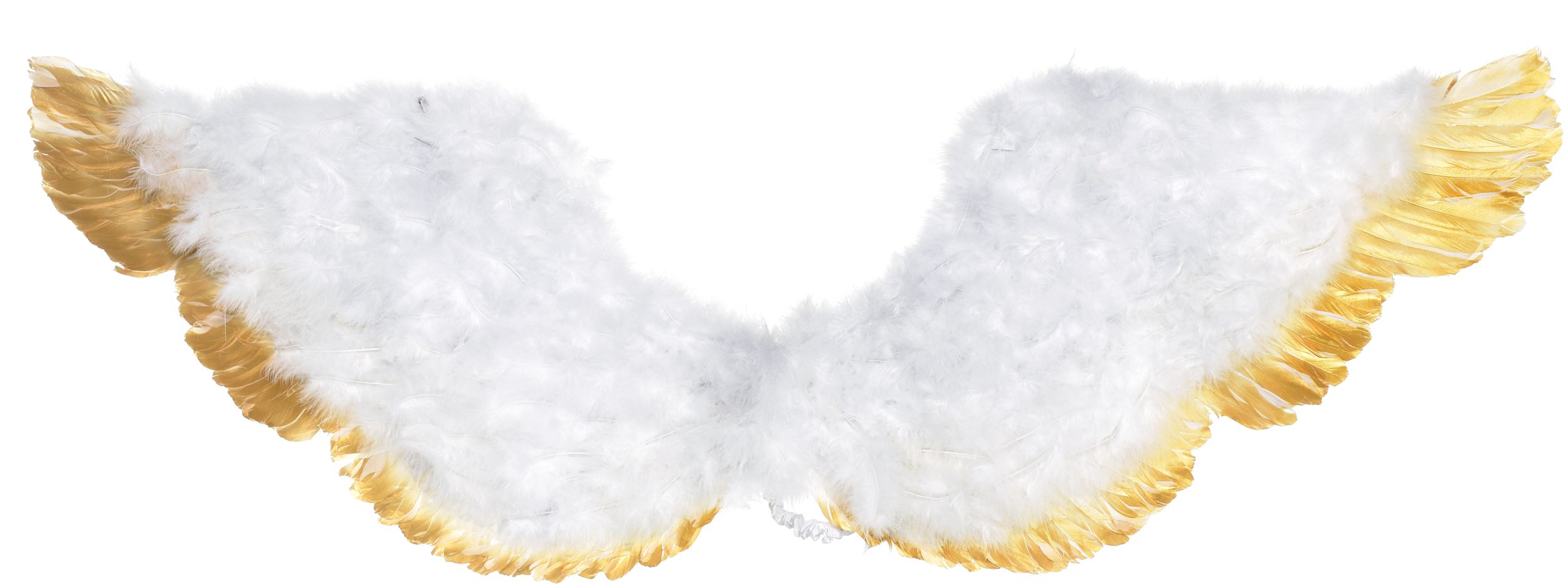 Ailes en plumes aux bouts dorés pour costume d'Halloween, adultes, taille universelle Back_Flat