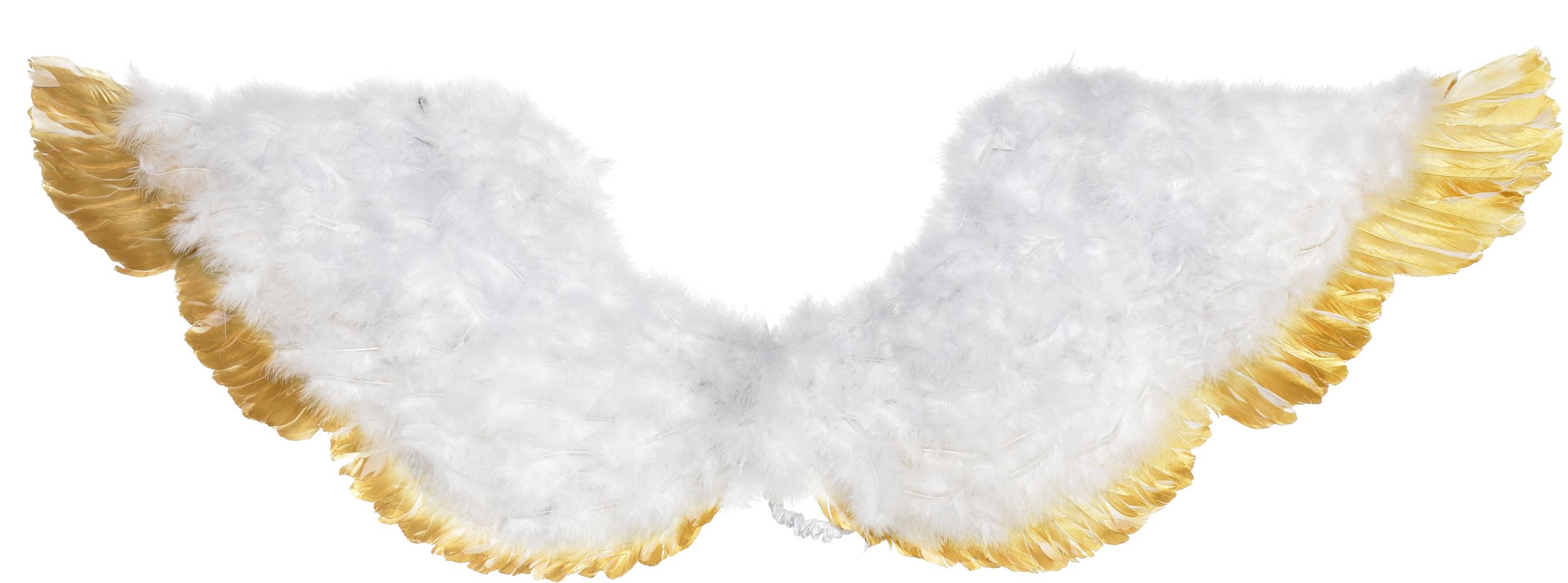 Ailes en plumes aux bouts dorés pour costume d'Halloween, adultes, taille universelle Back_Flat