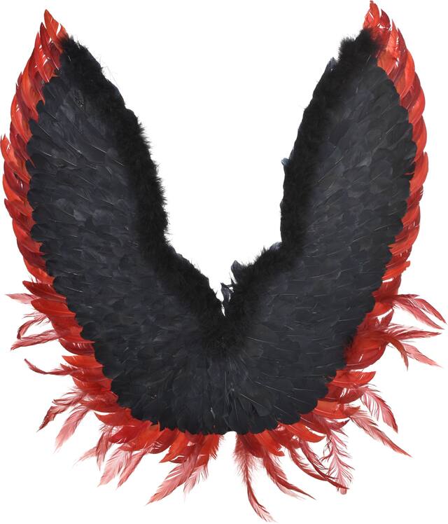 Dark Fairy Angel Feather Wings, Black/Red, One Size, Wearable Costume Accessory for Halloween Back_Flat