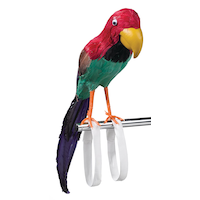 Perroquet de pirate, multicolore, 10 po, accessoire de costume à porter pour l'Halloween Front_Angled_Right