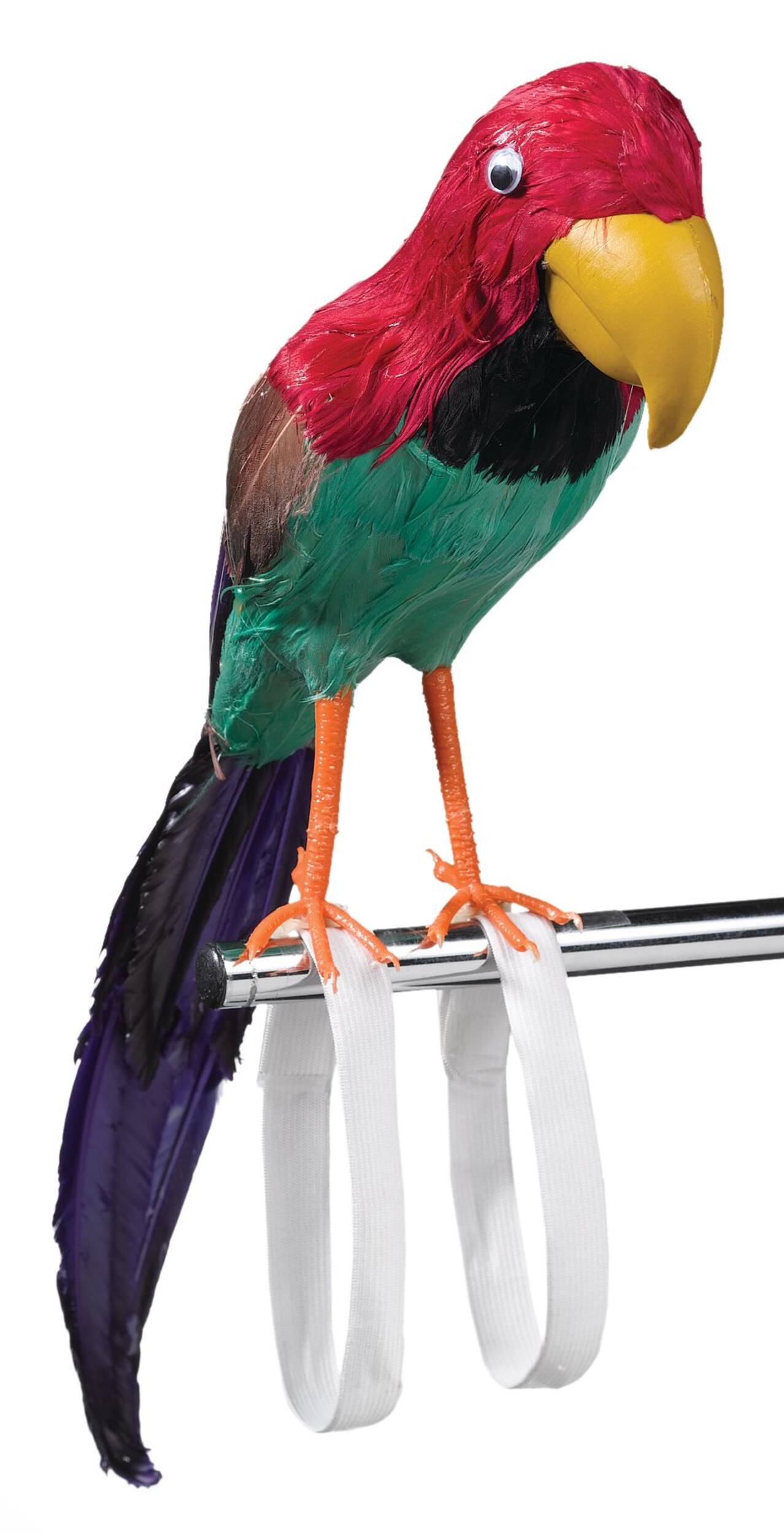 Pirate Shoulder Parrot Bird, Multi-Coloured, 10-in, Wearable Costume Prop for Halloween Front_Angled_Right
