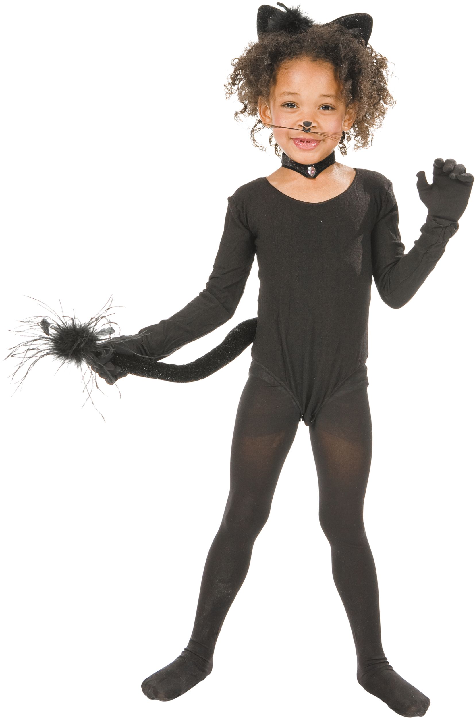 Sophisticated Furry Cat Tail, Black, 20-in, Wearable Costume Accessory for Halloween Front_Flat