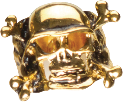 Pirate Skull Ring Jewelry Gold One Size Wearable Costume