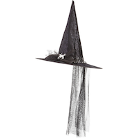 Witch Fancy Pointy Hat with Spiderweb Veil, Black, One Size, Wearable Costume Accessory for Halloween Front_Angled_Left