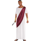 Adult Greek Drapped Toga, White, One Size, Wearable Costume Accessory for  Halloween | Party City