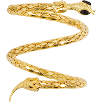 Snake Armband Jewelry, Gold, One Size, Wearable Costume Accessory for Halloween Overhead_Plunge