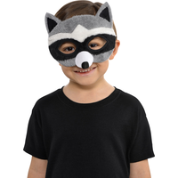 Kids' Plush Raccoon Party Mask Front_Flat