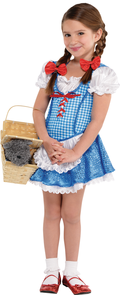 Toddler The Wizard of Oz Dorothy Blue Dress with Bows & Socks Halloween ...