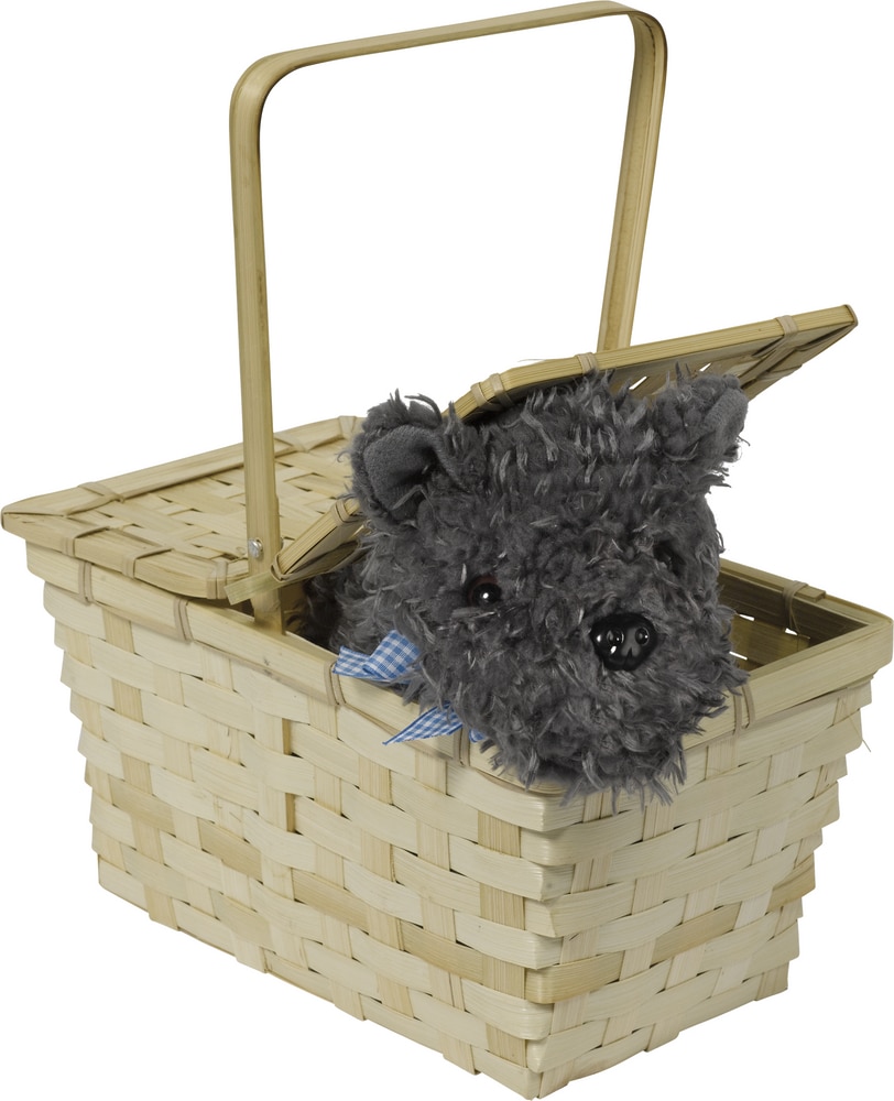 Wizard of Oz Picnic Basket with Toto Party Prop Party City