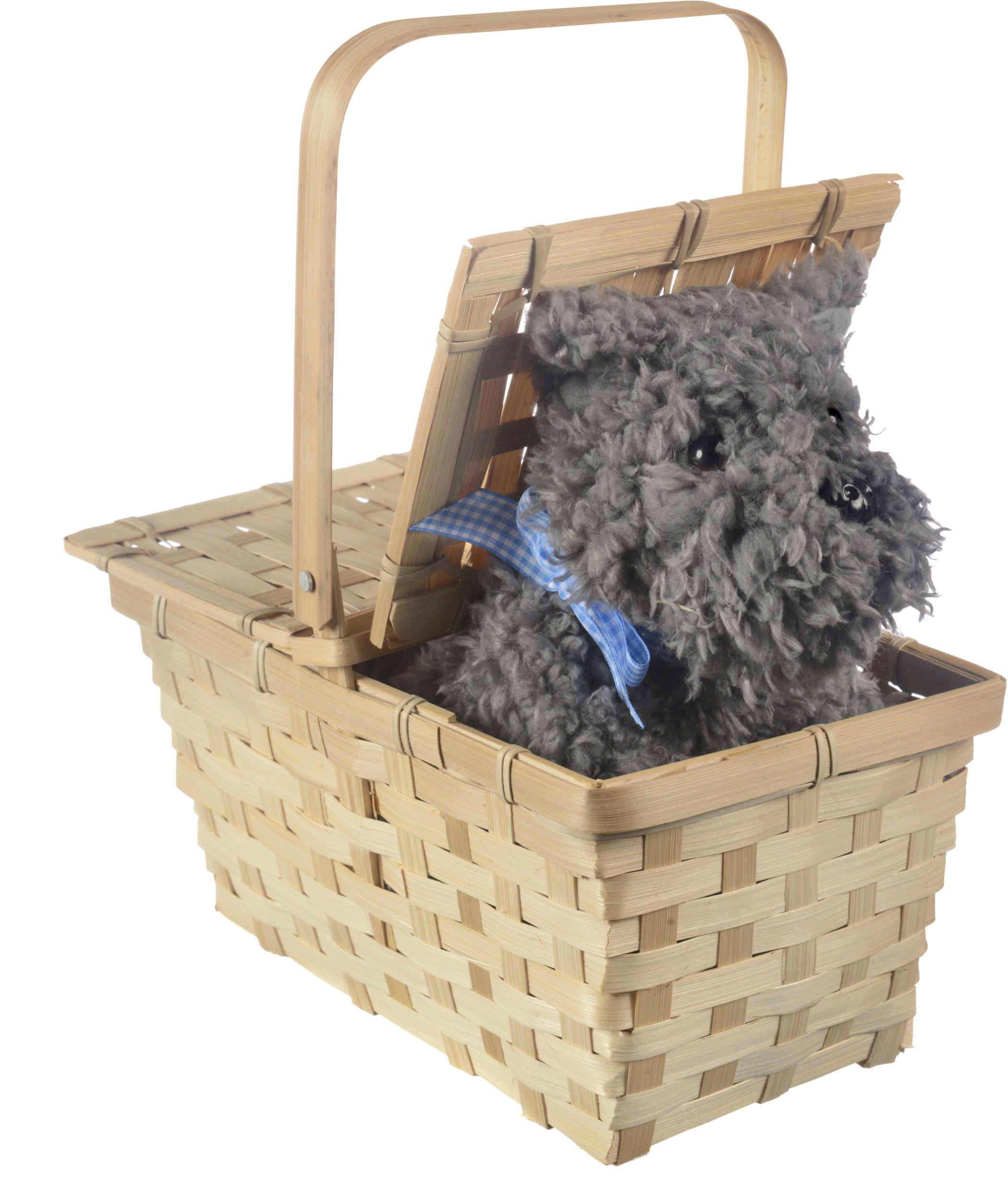 The Wizard of Oz Picnic Basket with Toto Dog, Tan/Black, One Size, Wearable Costume Prop for