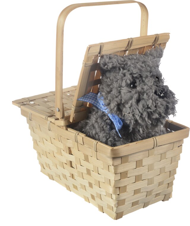 Wizard of Oz Picnic Basket with Toto Party Prop Party City