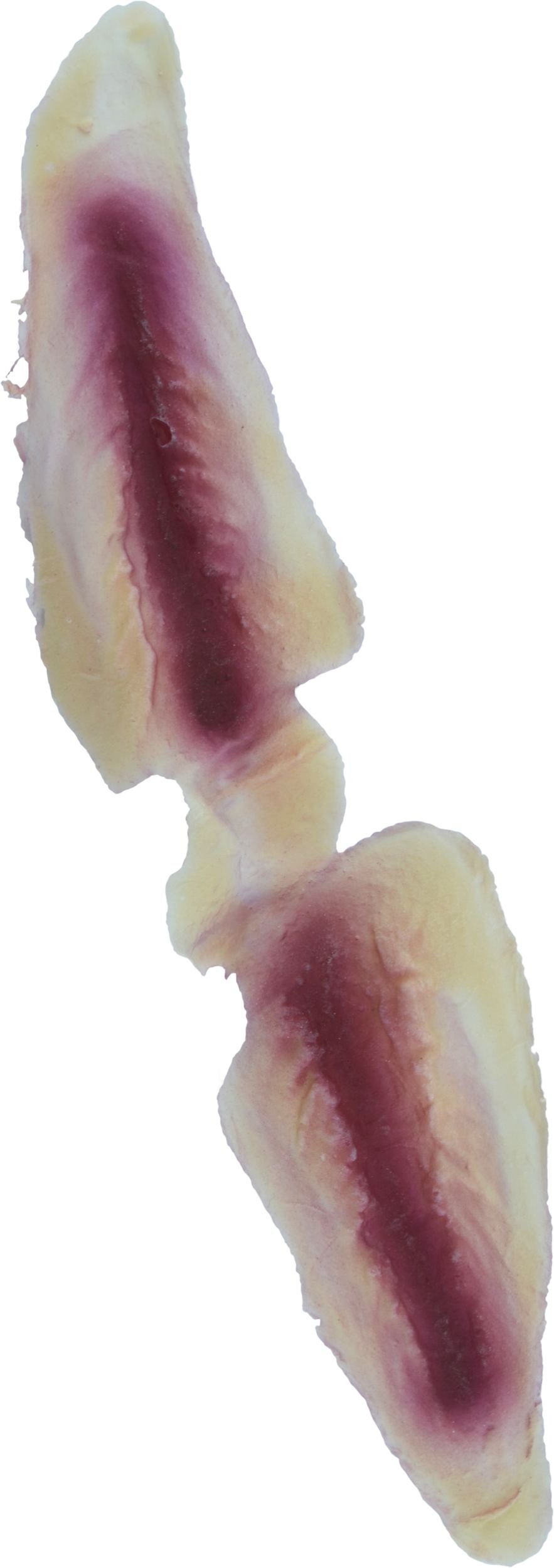 Fake Slashed Eye Wound Prosthetic, Red, One Size, Wearable Costume Accessory for Halloween Overhead_Flat