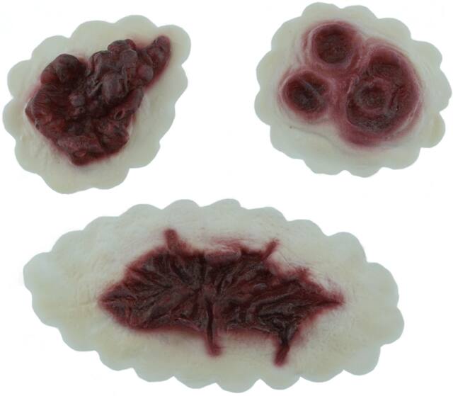 Prothèse de fausses plaies suintantes, rouge, taille unique, paq. 3, accessoires de costume à porter pour l'Halloween Overhead_Flat