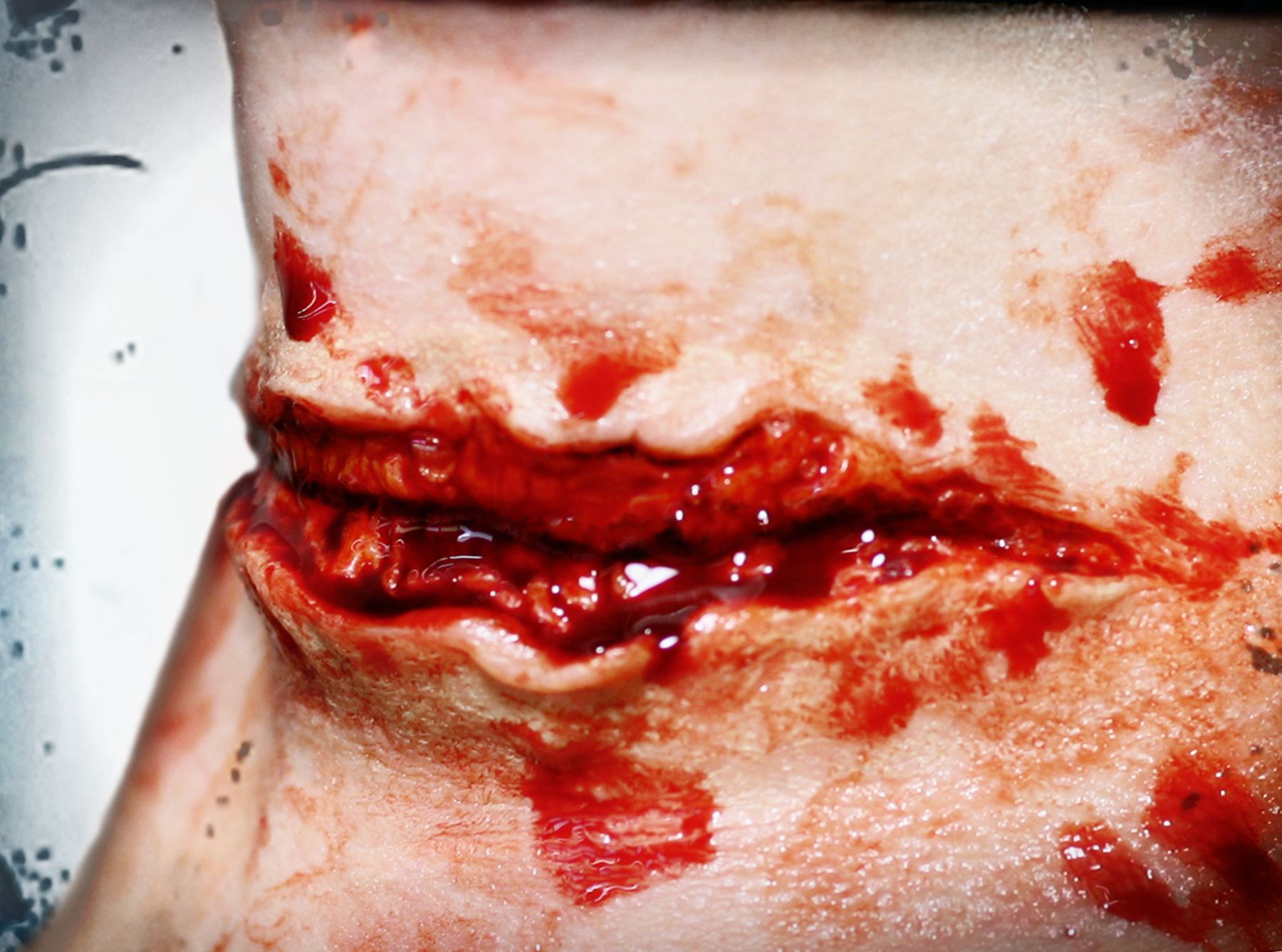 Prothèses de fausse blessure à la gorge Tinsley Transfers, rouge, taille unique, paq. 2, accessoires de costume à porter pour l'Halloween CloseUp