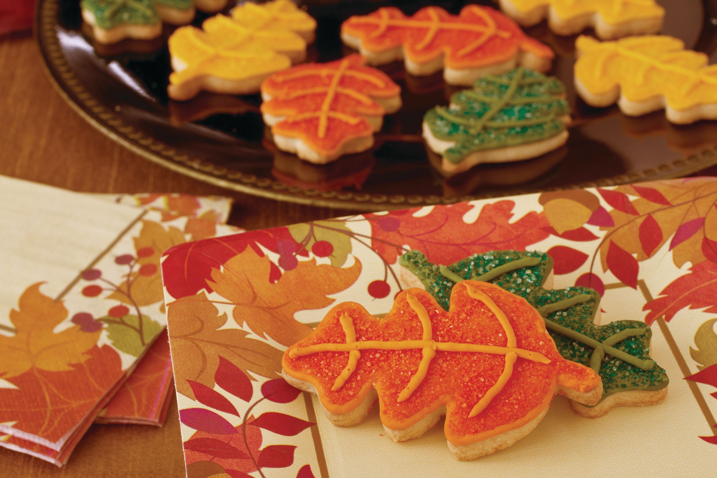 Festive Fall Dinner Plates, 18-pk Composite_or_Mixed