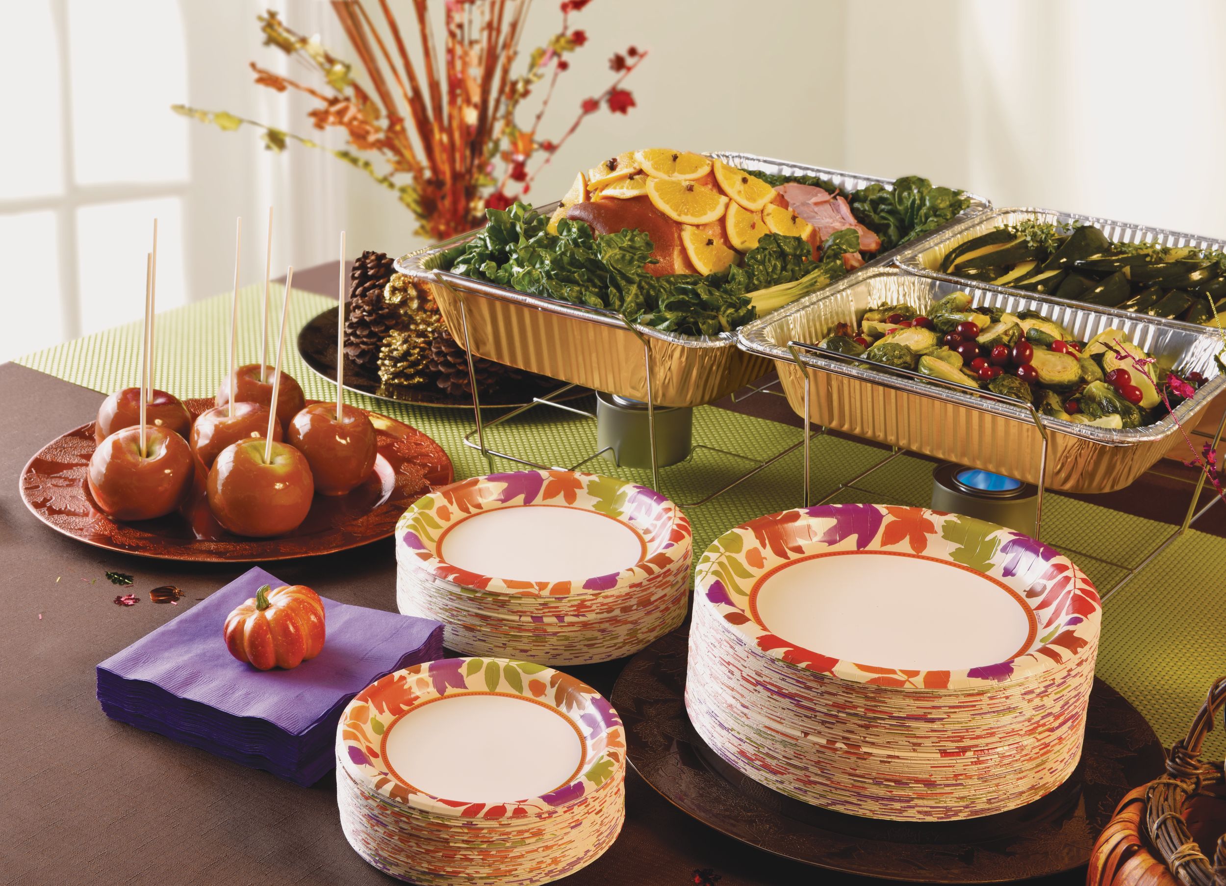 Autumn Warmth Dinner Plates, 40-pk Composite_or_Mixed