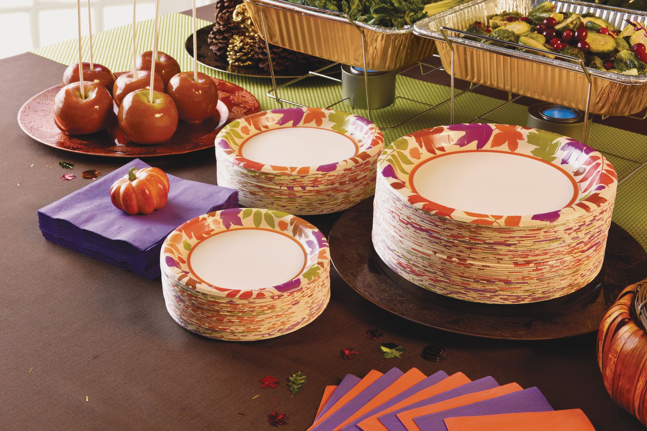 Autumn Warmth Dinner Plates, 40-pk Composite_or_Mixed