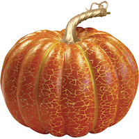 Crackle Prop, Orange, 6-in, Indoor/Outdoor Decoration Halloween Front_Elevated