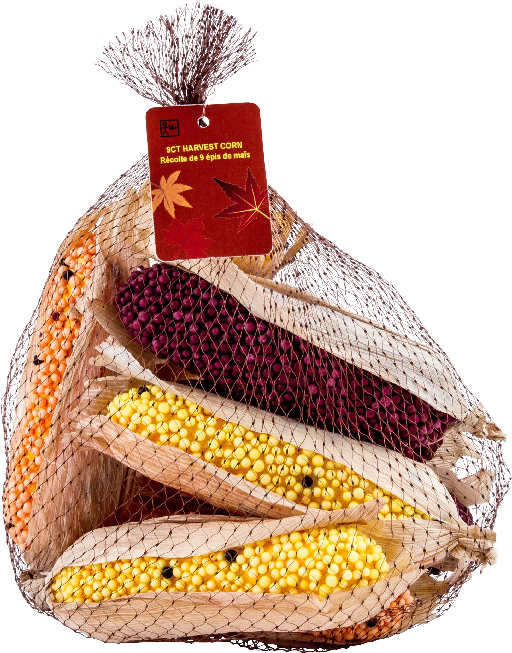 Épis de maïs, multicolore, 5 po, paq. 9, décorations intérieures pour l'automne Front_Flat