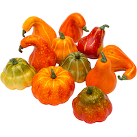 Squash Gourd Props, Orange, 2 1/4-in, 12-pk, Indoor Decoration for Fall Composite_or_Mixed