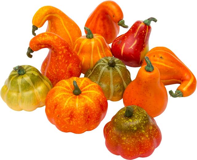 Squash Gourd Props, Orange, 2 1/4-in, 12-pk, Indoor Decoration for Fall Composite_or_Mixed