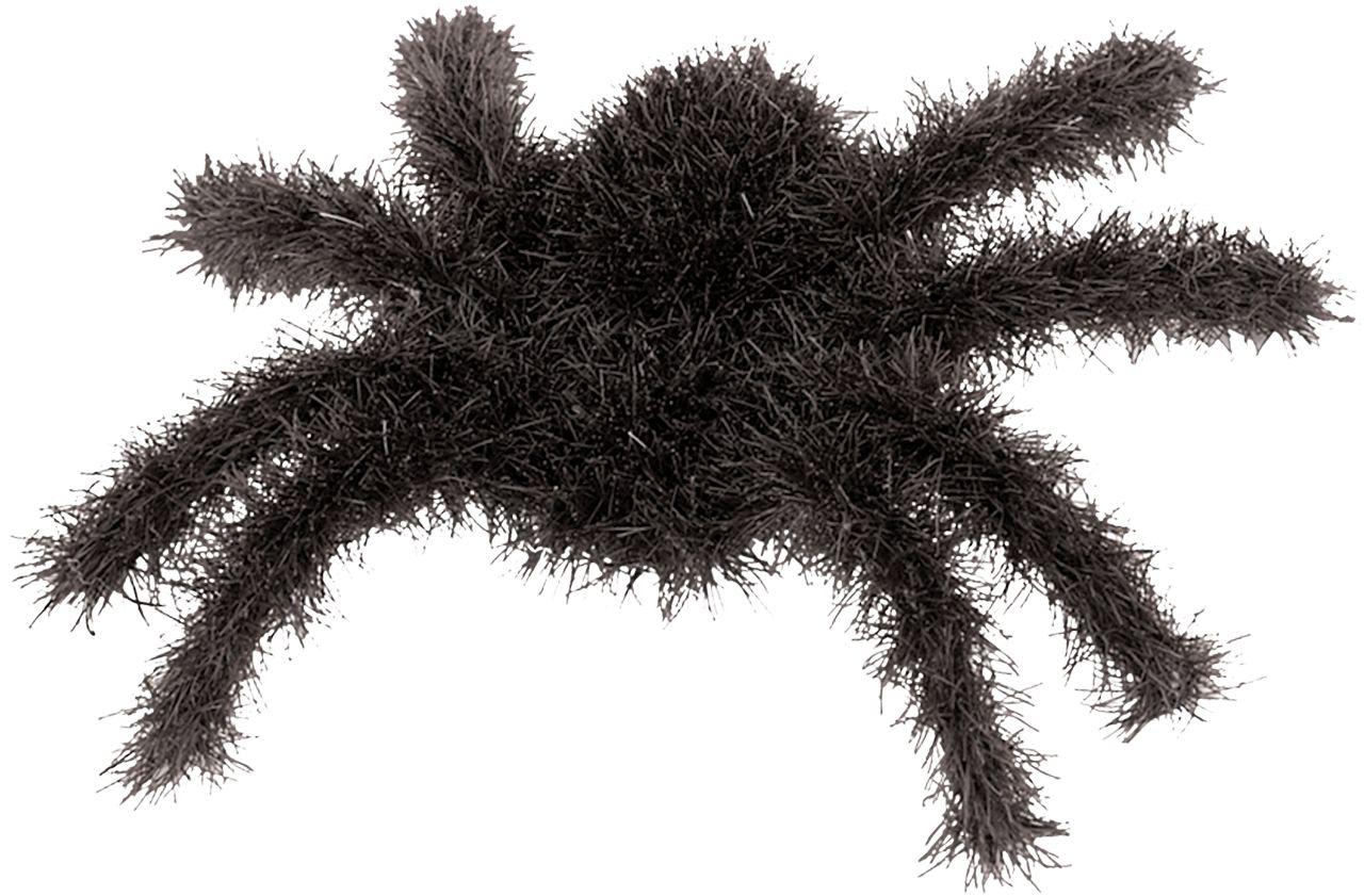 Spider Fuzzy Furry Favours, Black, 10-in, 6-pk, for Halloween Back_Angled_Right