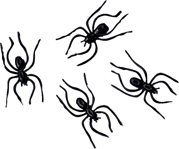 Cadeaux-surprises à pince araignée, noir, 5-1/2 po, paq. 24, pour  l'Halloween