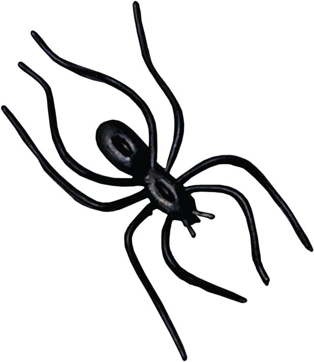 Cadeaux-surprises à pince araignée, noir, 5-1/2 po, paq. 24, pour l'Halloween Overhead_Flat