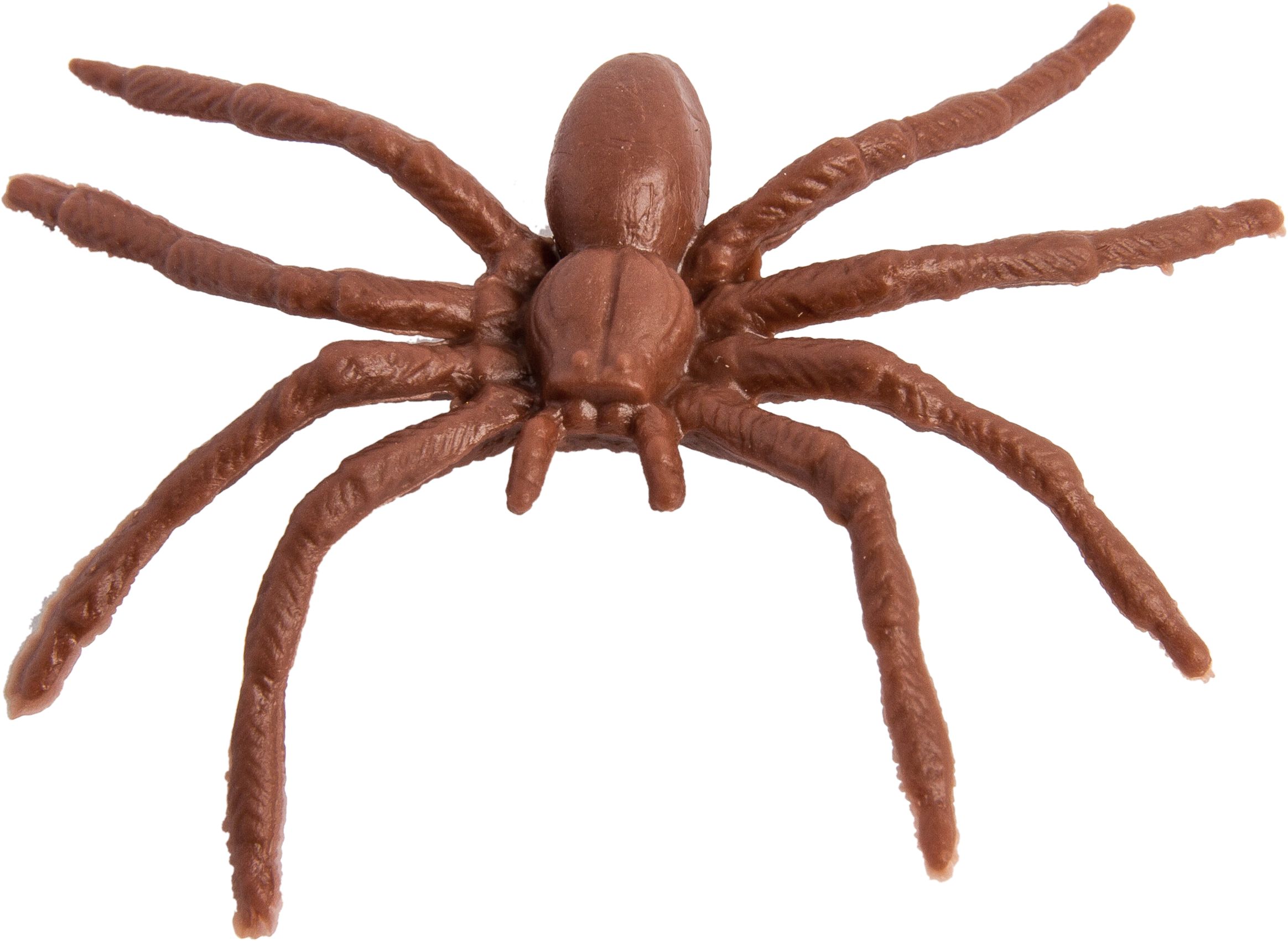 Spider Plastic Favour Props, Black/Brown, 3-in, 28-pk, for Halloween Overhead_Flat