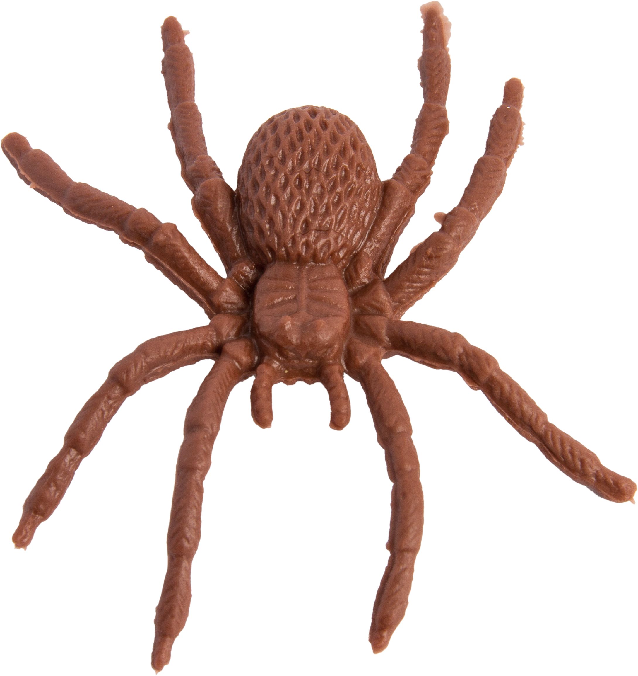 Spider Plastic Favour Props, Black/Brown, 3-in, 28-pk, for Halloween Overhead_Flat