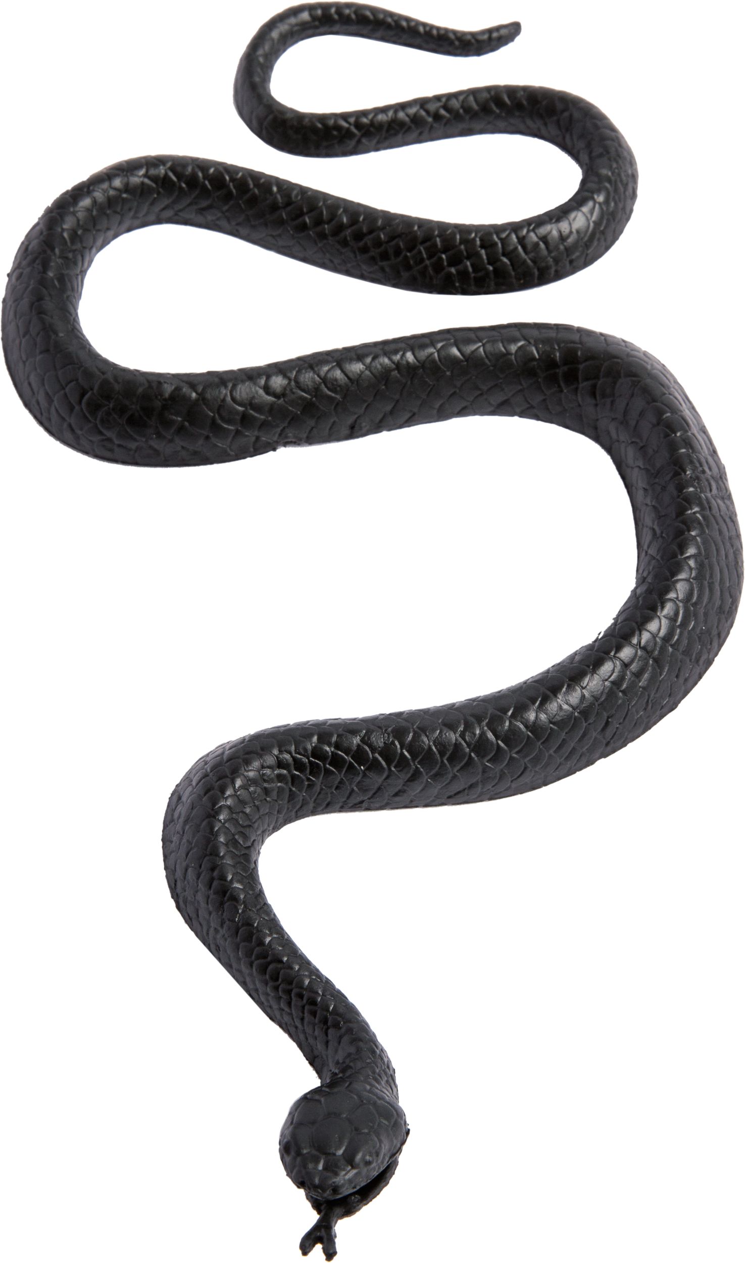 Green & Black Snakes, 28-pk Front_Elevated