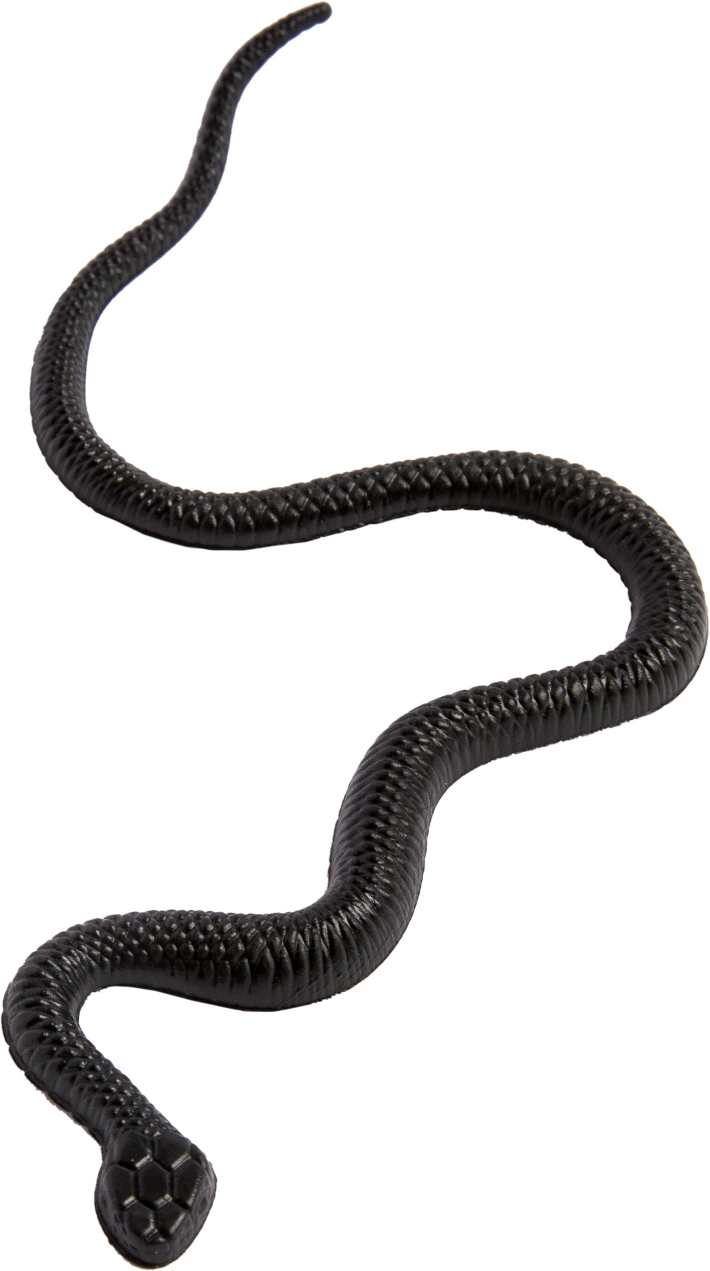 Green & Black Snakes, 28-pk Front_Elevated