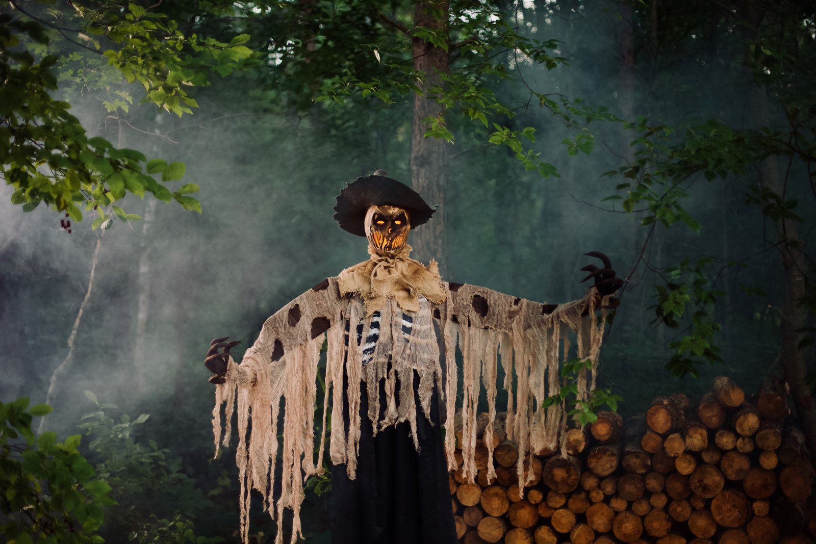 Scarecrow Animated Flaming Character, Green/Black, 51-in, Sound Activated Indoor/Outdoor Decoration for Halloween CloseUp