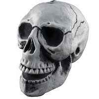 Grim Reaper Skull Fractured Prop, Grey, 9 3/4 in, Indoor/Outdoor Decoration for Halloween Front_Angled_Left