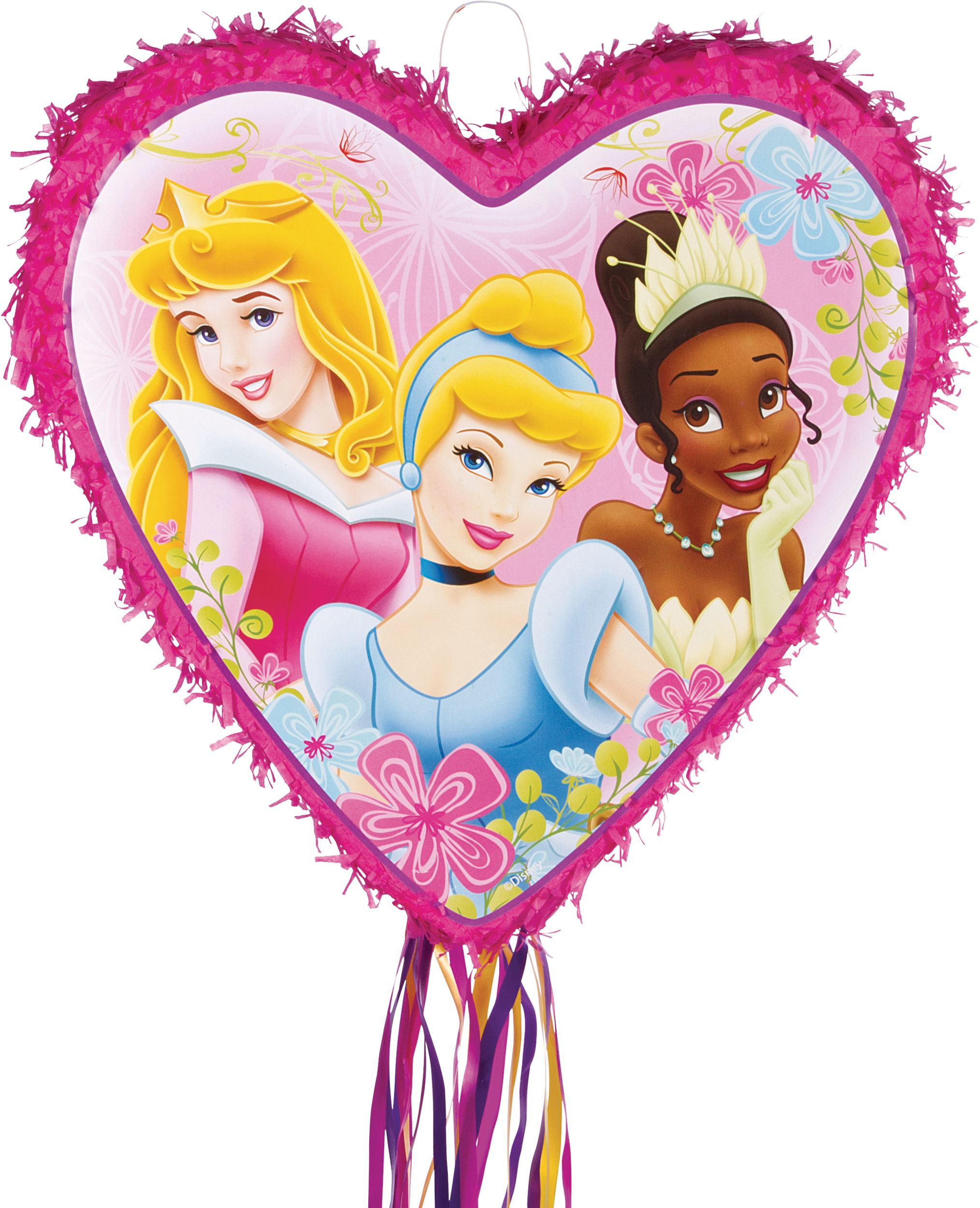 Kids' Zombies 2 Willa Halloween Costume Wig Front_Flat