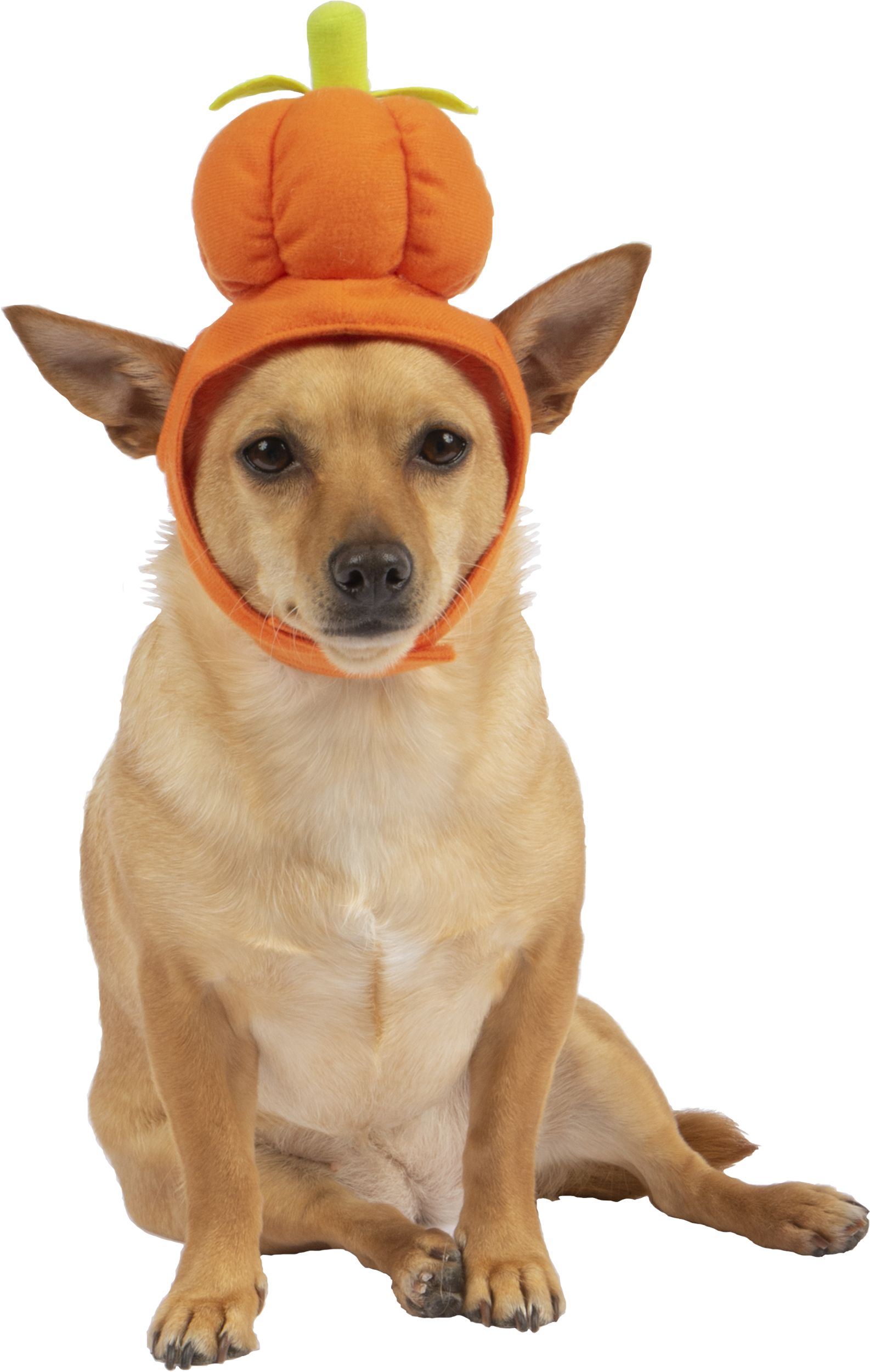 Pumpkin Hat, Orange, Extra Small/Small Front_Flat