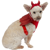 Red Devil Wing Harness with Horns, Extra Small/ Small Side_Right
