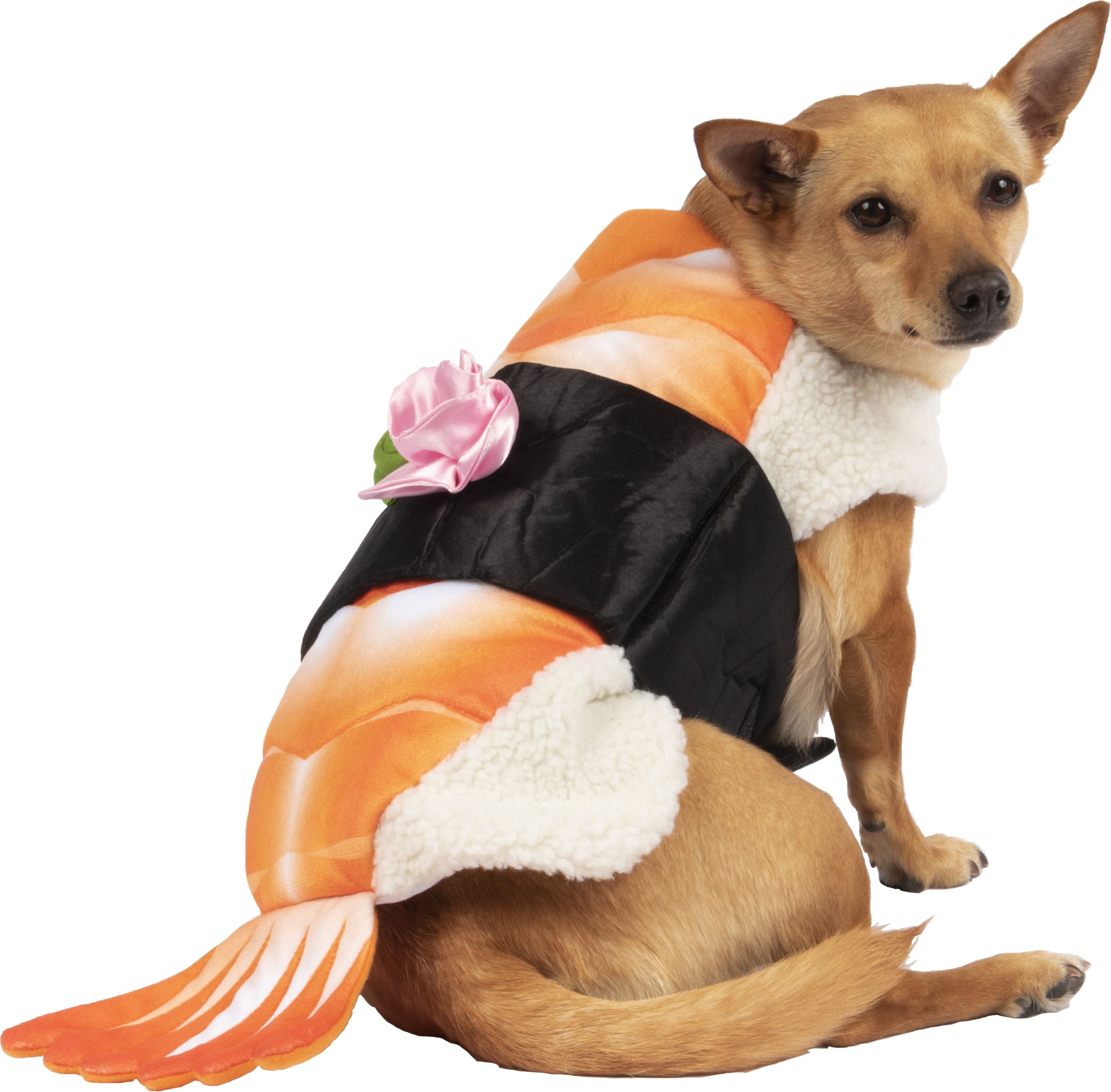 Sushi Halloween Pet Costume, Orange, XS/S Back_Angled_Right