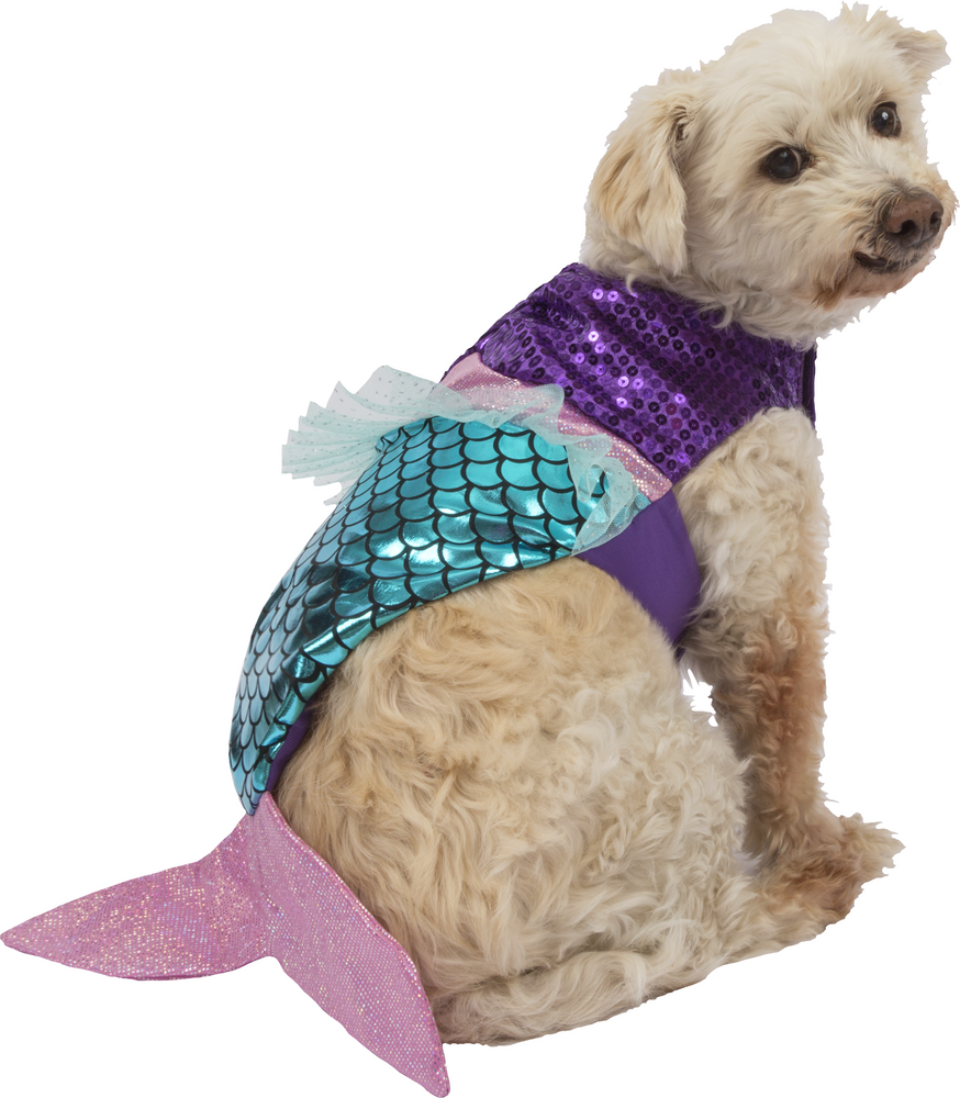 Dog costume kmart outlet