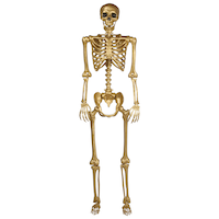 Squelette humain réaliste grandeur nature, doré, 60 po, décoration intérieure/extérieure pour l'Halloween Front_Flat