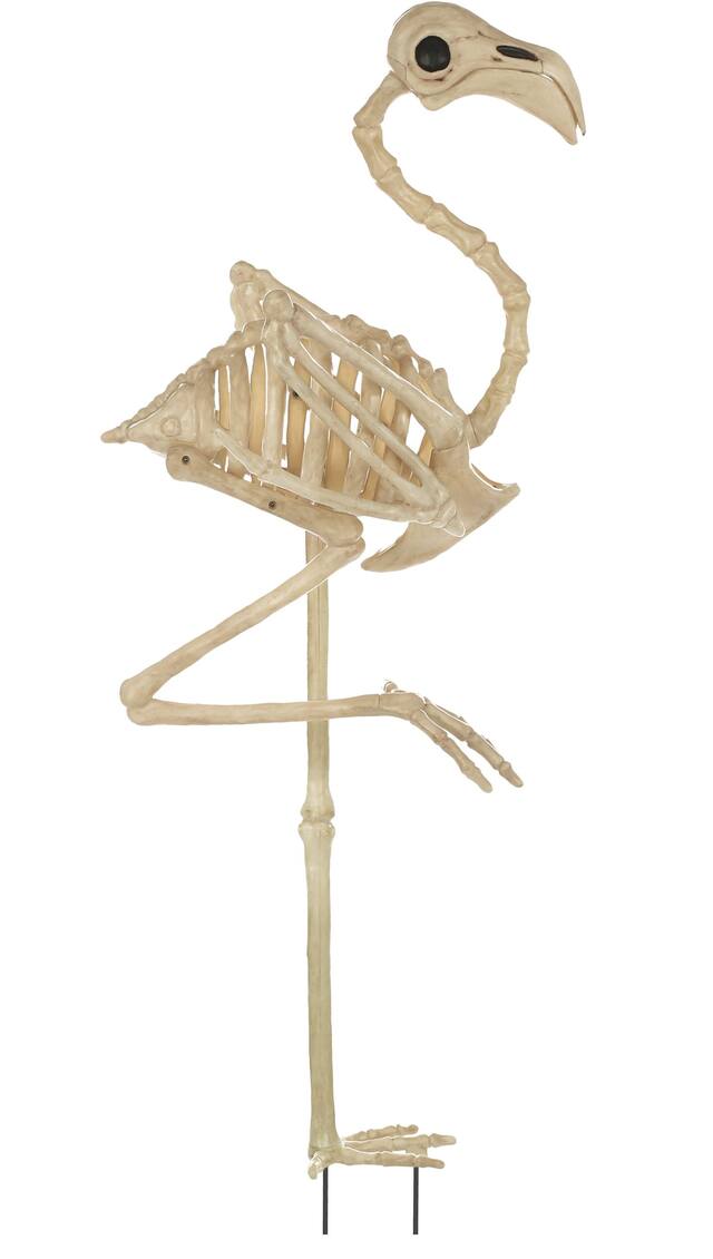 Squelette flamant rose d'Amscan Front_Flat