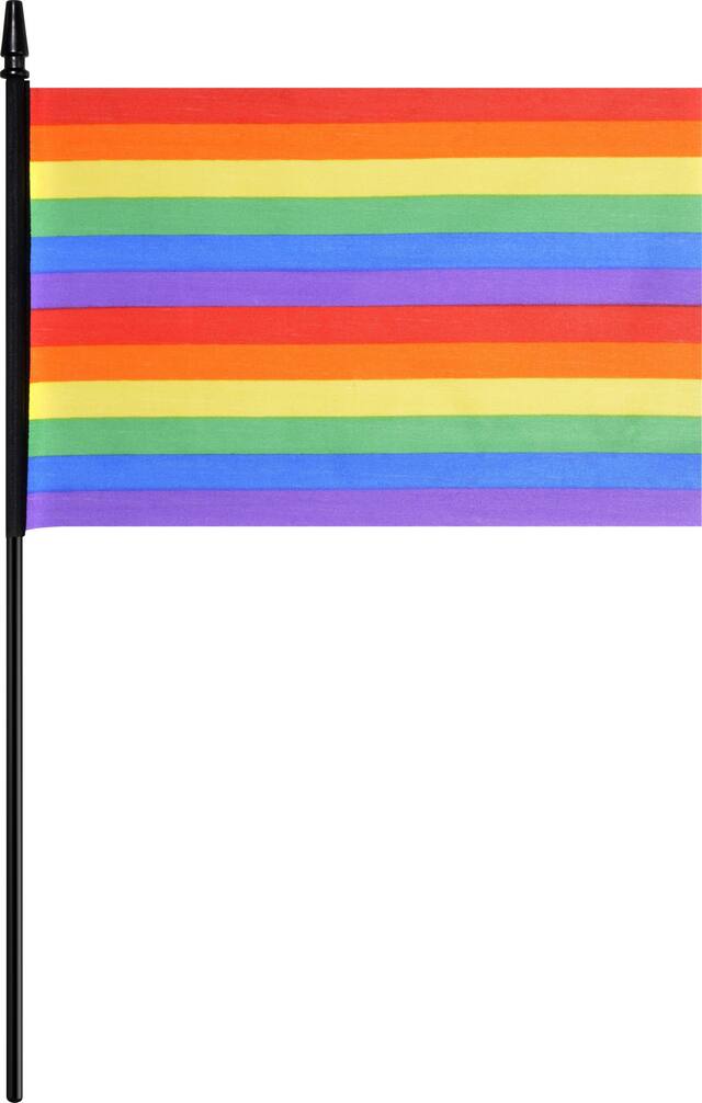 Rainbow Flag Front_Flat