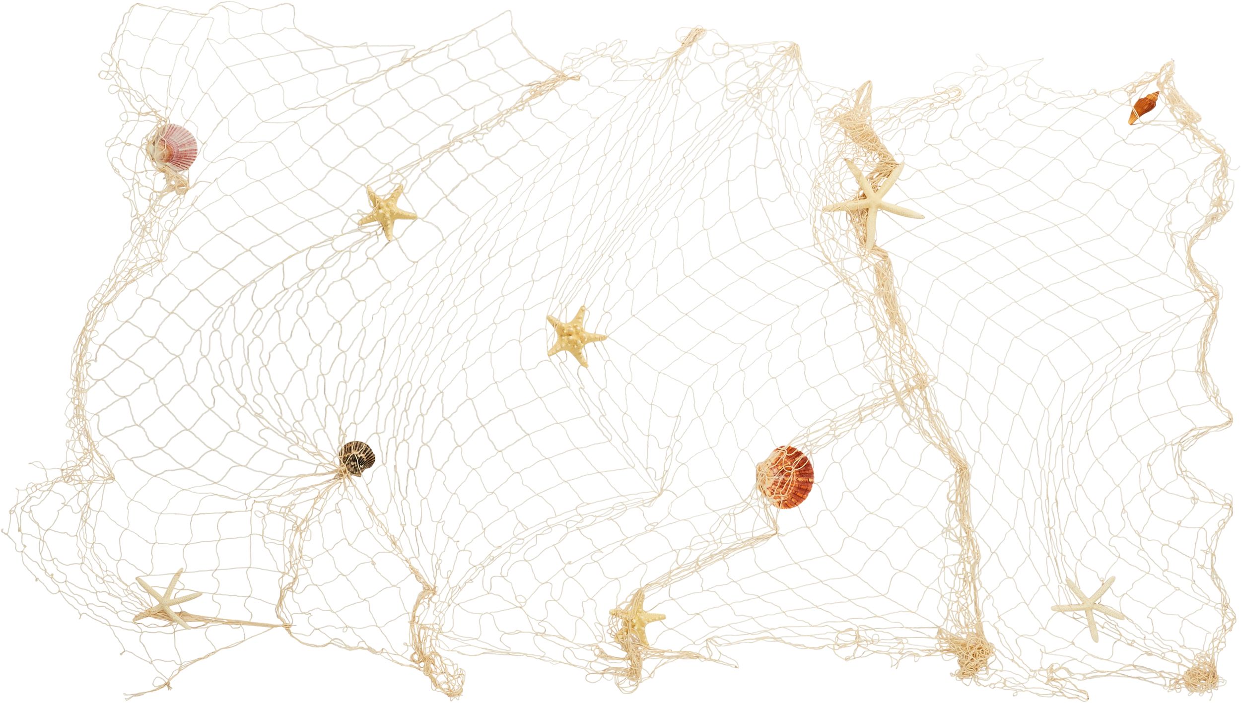Natural Fish Net, 6-ft x 24-ft