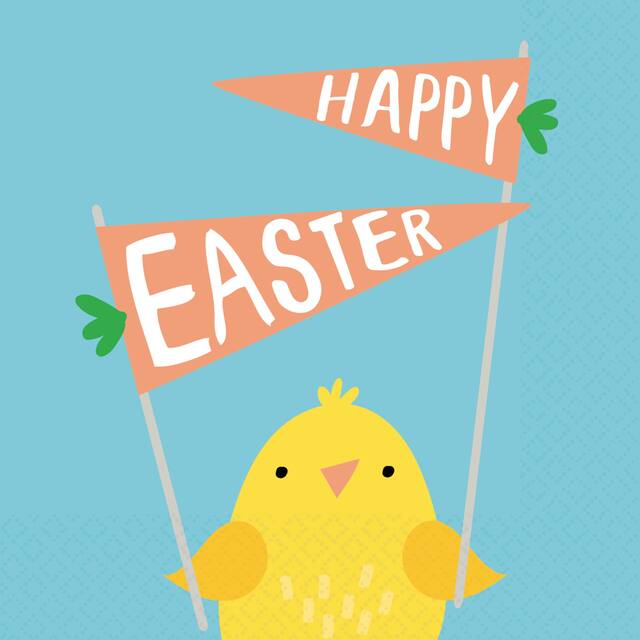 Hello Bunny Beverage Napkins, 16-pk Overhead_Flat